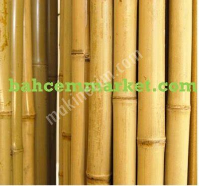 satılık bambu çubuk